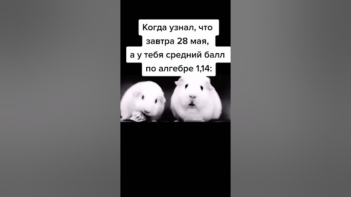 Я жую любимую жвачку