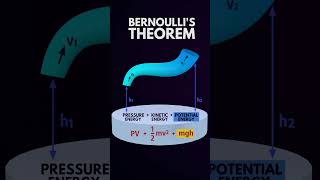 Bernoulli's Theorem (in Shorts)