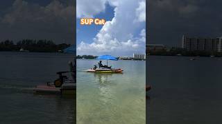 Electric SUP paddle boards cat #sup #boat #catamaran