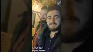 Rojhat Ciziri Dawet Mersin Resimi