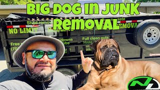 ARE YOU REALLY READY FOR THOSE BIG DOG PAYDAYS IN JUNK REMOVAL?? #junk #haul #junkremoval
