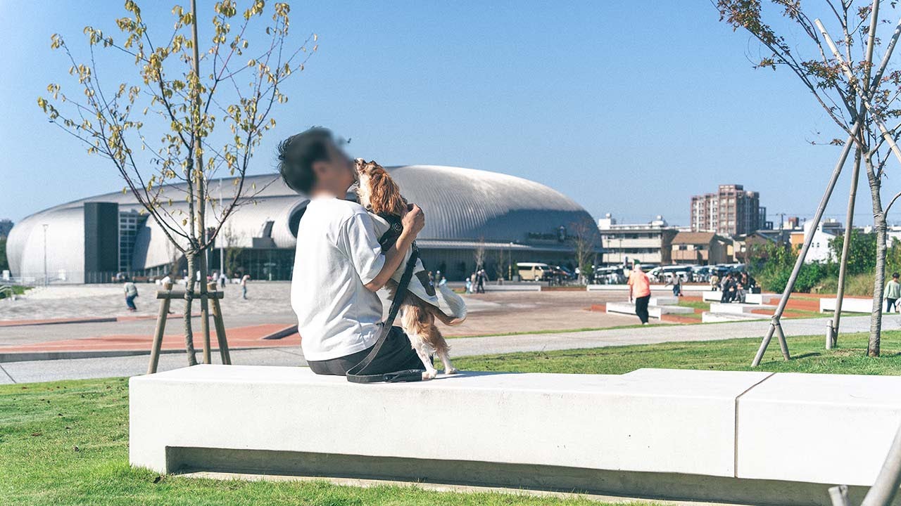 パパ大腸がん手術から退院。ノアとの生活に幸せを感じています