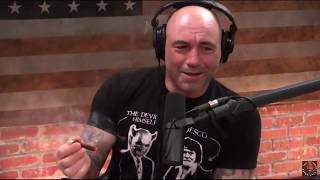 Joe Rogan Shows Off Mike Tyson's Weed Box Tyson Ranch edition huge Joints on JRE clips