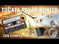 🛑 Pavão Bonito - CD Completo - Tocata Completa | Misael Nanderson Berganton Jairo Tião Eber Betinho