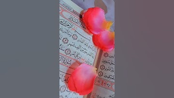 #اكسبلور #لاناولين #سورة القدر #ماهر_المعيقلي