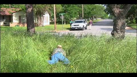 Code Violation PSA - Tall Grass