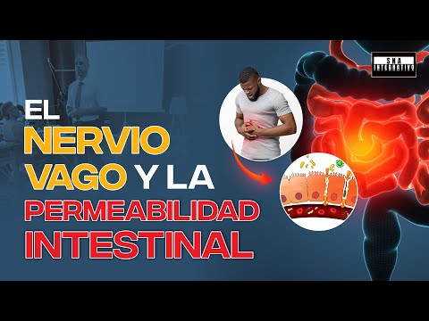 Video: Terminale 