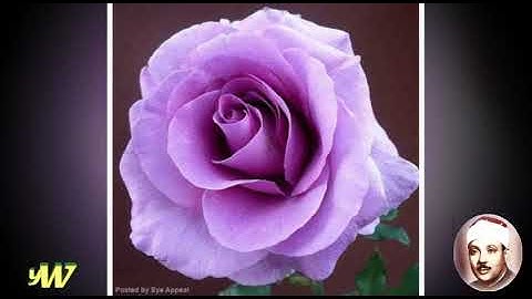 17 Al Isra سورة الاسراء القارئ عبد الباسط عبد الصمد