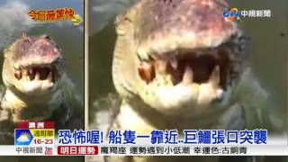 恐怖喔! 船隻一靠近..巨鱷張口突襲│中視新聞 20170809