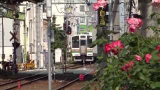 常磐貨物線 試9513M 211系3000番台「C13編成」 乗務員訓練 田端(信)~三河島