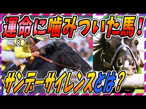 ゆっくり解説】全員聞けっ！日本競馬の歴史を変えた