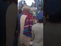 Sindhiradhno Comedydance Comedy Indiansindhi Danceperformance