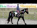 New Horse Shopping! - The Search Begins AD | This Esme