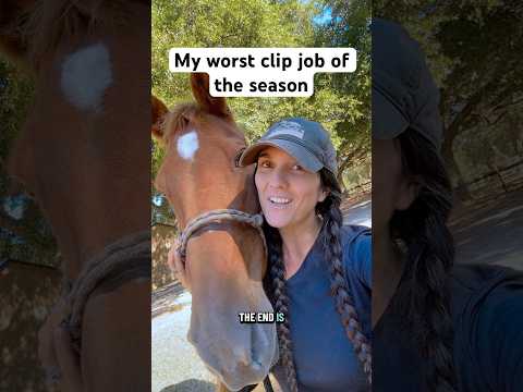 It Will Be Over Soon Horses Cowgirl Horsegirl Horseclipping Farmlife Horse Winter Animals
