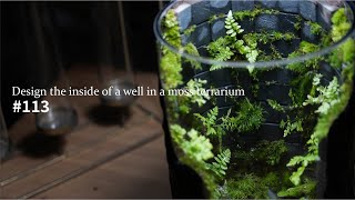 Design the inside of a well in a terrarium #113