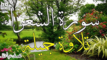 سورة الشعراء 🎧💙راحة نفسية 💙تلاوة هادئة و جميلة جدا 💙القارئ محمد عبادة.