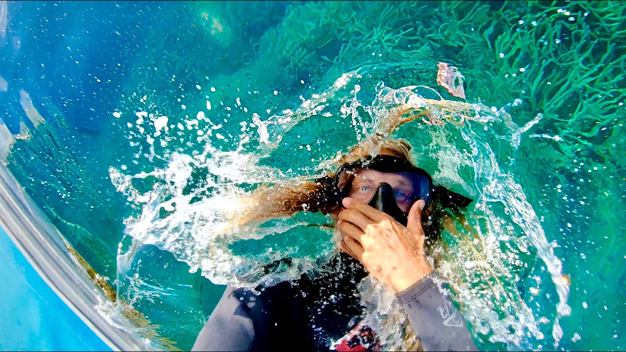 The Bugatti of Reefs