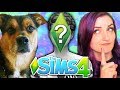 My DOG Controls My Sim | Sims 4 CAS Challenge