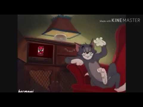 قالوا انت ليه عايش وراه ايه الحقيقة 