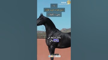 معنى:(الْجِيَادُ),٦٤-شرح مفردات غريب القرآن،سورة ص ،الشيخ خالد الحرمي.