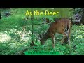 As The Deer The Worship Initiative feat Shane and Shane