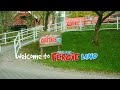 Welcome to Fergie Land! | Little Grey Fergie