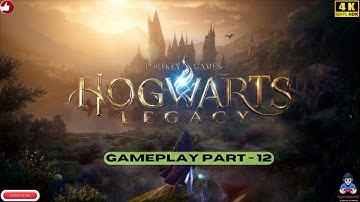 Hogwarts Legacy Adventure in part 12|Hogwarts legacy gameplay part 12