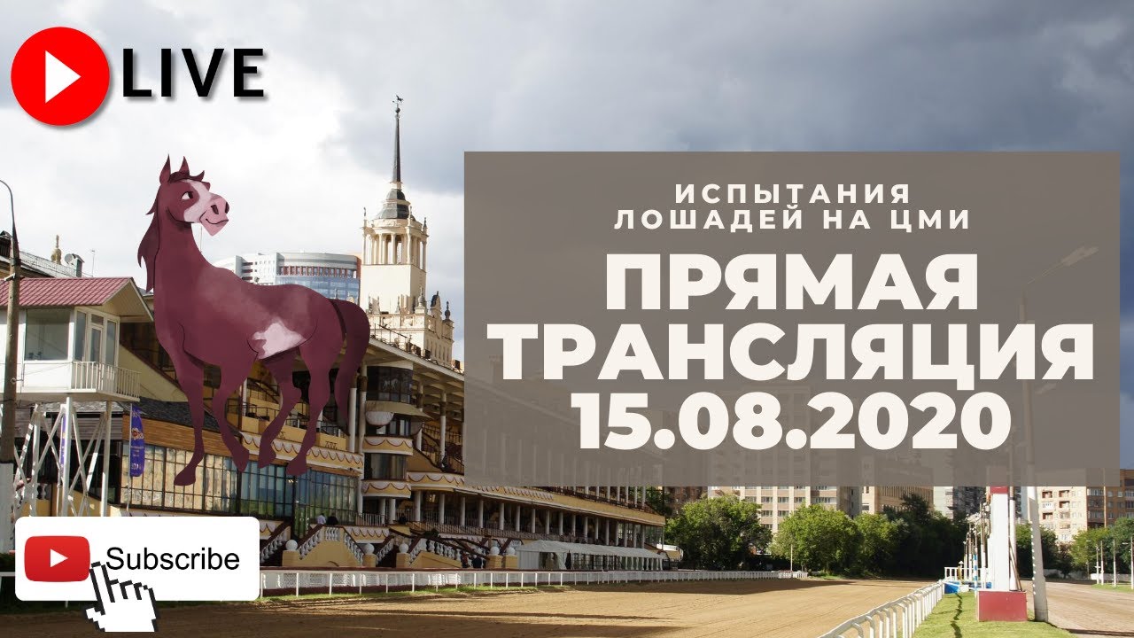 15.08.2020. Прямая трансляция с ЦМИ. Субботние бега.