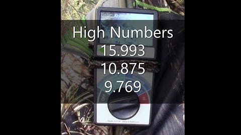 Bigfoot Research With The TriField Meter In Green Swamp