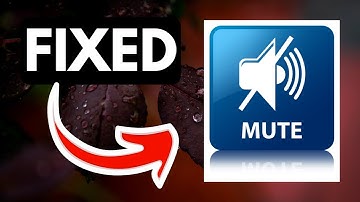 Volume keeps muting automatically on Windows 11 FIXED