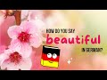 How to Say “Beautiful” in German | Learn “Schön” 🇩🇪✨