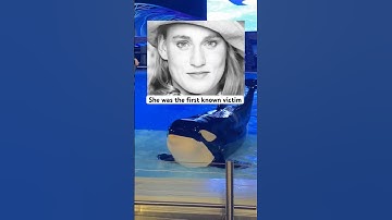 Young girl dies from Killer Whale