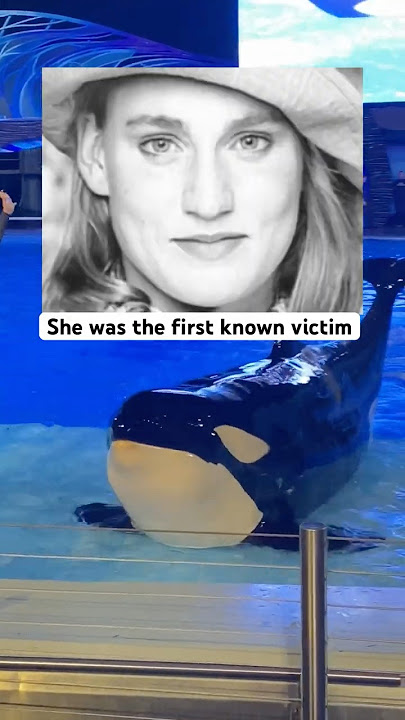 Young girl dies from Killer Whale