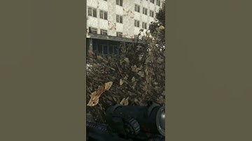 Attacked By A Pack Of CHIMERAS In STALKER GAMMA! #stalkeranomaly #stalkergamma #gaming #shorts