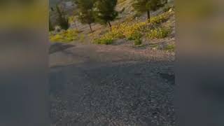 Kuba Cg Ön Kaldırma