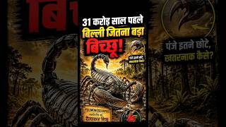 😱 31 करोड़ साल पहले का ये बिच्छू बिल्ली जितना बड़ा था! 🦂🔥
