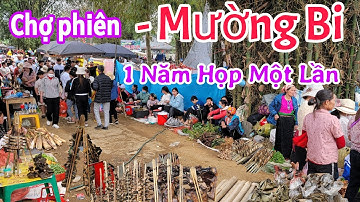 Chợ Phiên Mường Bi - Tân Lạc Hòa Bình - Họp Duy Nhất Một Phiên Trong Năm - Cửa Ngõ Tây Bắc