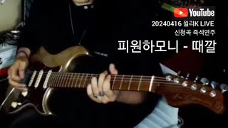 20240416 윌리K 유튜브 라이브 방송중 신청곡 즉석연주 [피원하모니-때깔]#윌리k #크랙샷