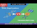 How Transcription Differs from DNA Replication? Day 11: 40 Days 40 Sure Shot Topics, Class12 biology