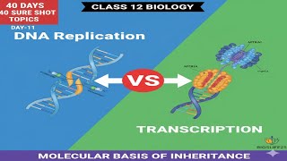 How Transcription Differs from DNA Replication? Day 11: 40 Days 40 Sure Shot Topics, Class12 biology