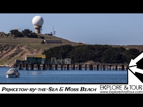 Princeton-by-the-Sea & Moss Beach