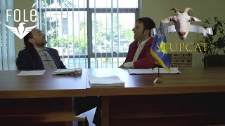 Stupcat - Daja Shaban