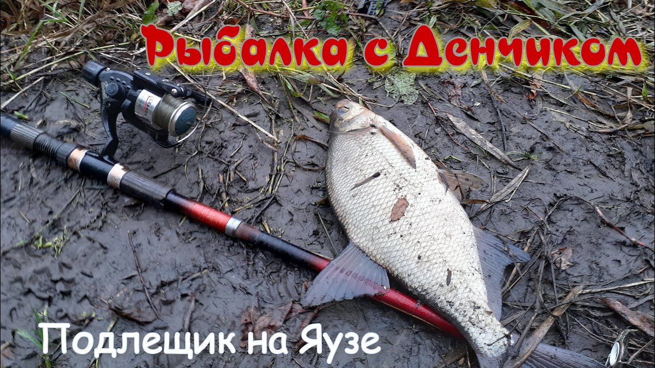 Планировал рыбалку на щуку но поймал подлещика. Рыбалка под дождём ...