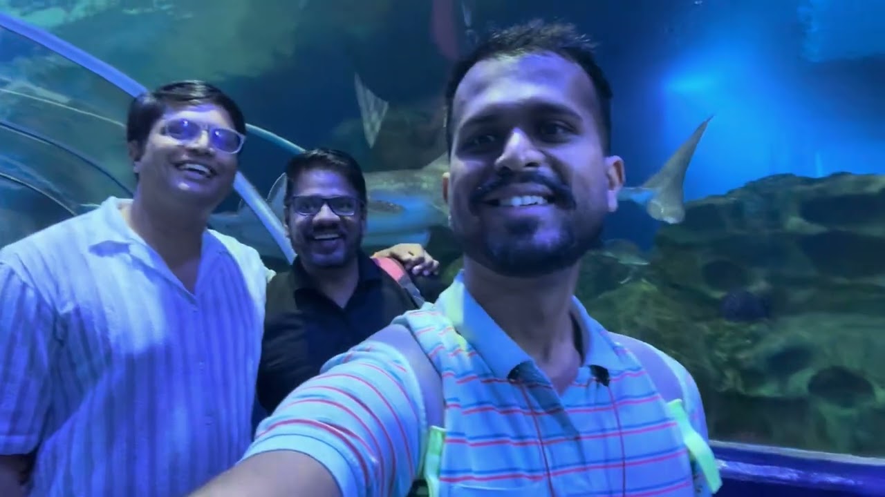 Marine Life at VGP Marine Kingdom Chennai 