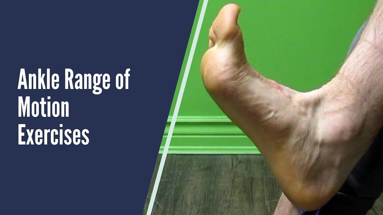 ankle range of motion