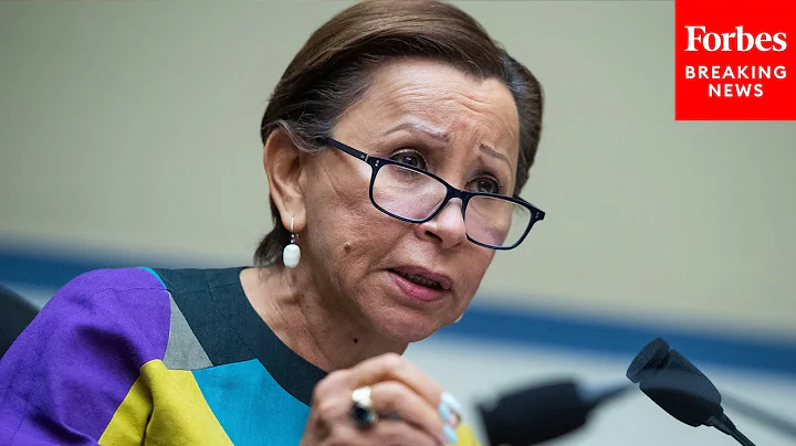 Nydia Velazquez Presses Energy Execs About Failure...
