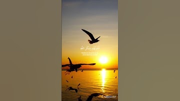 أَلا بِذِكْرِ اللَّهِ تَطْمَئِنُّ الْقُلُوبُ [سورة الرعد:28]#allah #dua #quran #islamicsupplication