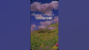 ارح قلبك وروحك وسمعك بآيات من الذكر الحكيم #اكسبلور  #قرأنكريم #راحة نفسية