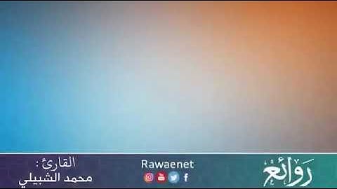 تلاوة لسورة المنافقون للقارئ محمد الشبيلي