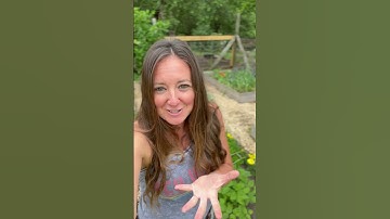 Weed-Free Gravel Garden Paths / Ditch the Landscaping Fabric